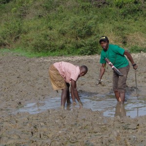 Mud fishing