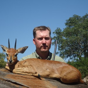 Steenbok