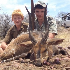 Bushbuck ram 17" shot at King'sKloof