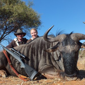 Blue Wildebeest