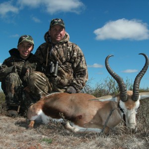 Springbok