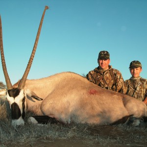 Gemsbok