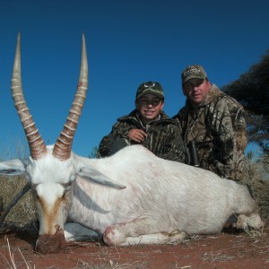 White Blesbok