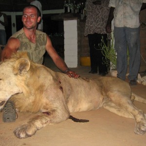 Lion hunted in Benin