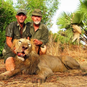 Lion hunted in Benin