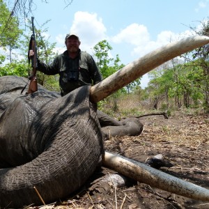 88 lbs Mozambique Elephant