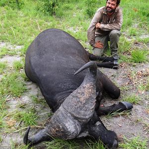 Buffalo Tanzania