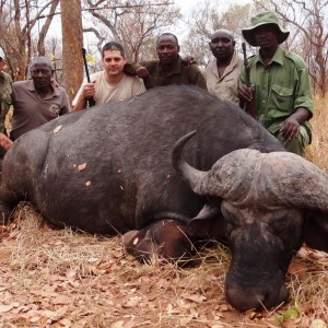 Buffalo Tanzania