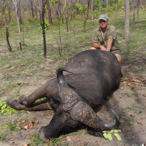 Buffalo Tanzania