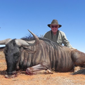 Blue Wildebeest hunt with Wintershoek Johnny Vivier Safaris