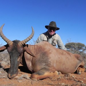 Tsessebe hunt with Wintershoek Johnny Vivier Safaris