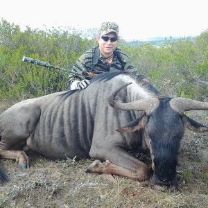 Blue Wildebeest hunt with Wintershoek Johnny Vivier Safaris