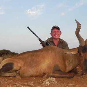 Red Hartebeest hunt with Wintershoek Johnny Vivier Safaris