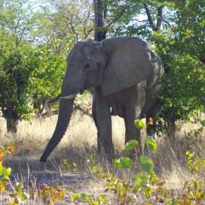 Botswana