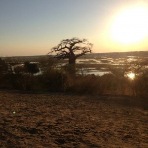 Sunset on the Okavango delta, Botswana