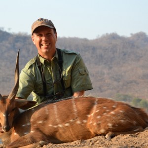 Bushbuck