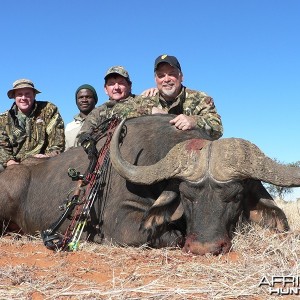 Buffalo hunt with Wintershoek Johnny Vivier Safaris