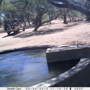 Checking Leopard Bait Trail Camera