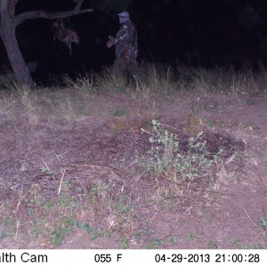 Checking Leopard Bait Trail Camera