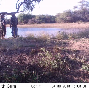 Checking Leopard Bait Trail Camera