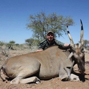 Eland - Namibia