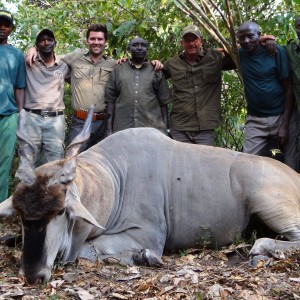 Old trophy East African Eland