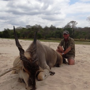 Trophy East African Eland