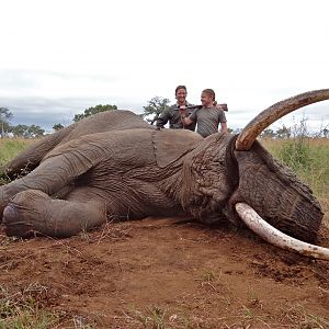 ~ Elephant - Lebombo Foothills, Mozambique ~