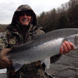 Steelhead anyone?