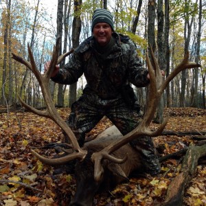 Nice Rocky Mountain Elk