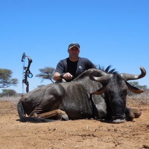 Blue Wildebeest hunted with Ozondjahe Hunting Safaris in Namibia