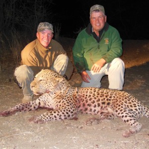 Leopard hunted with Ozondjahe Hunting Safaris in Namibia