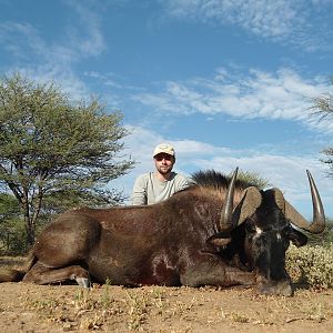 Black Wildebeest hunted with Ozondjahe Hunting Safaris in Namibia