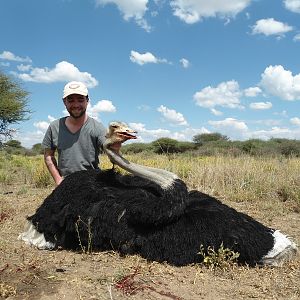 Ostrich hunted with Ozondjahe Hunting Safaris in Namibia