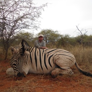 Burchell's Zebra hunted with Ozondjahe Hunting Safaris in Namibia