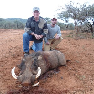 Warthog hunted with Ozondjahe Hunting Safaris in Namibia