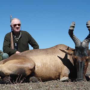 Red Hartebeest hunted with Ozondjahe Hunting Safaris in Namibia