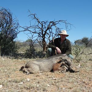 Warthog hunted with Ozondjahe Hunting Safaris in Namibia