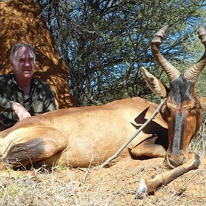 Red Hartebeest hunted with Ozondjahe Hunting Safaris in Namibia