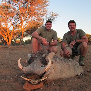 Warthog hunted with Ozondjahe Hunting Safaris in Namibia