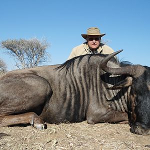 Blue Wildebeest hunted with Ozondjahe Hunting Safaris in Namibia