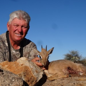 Damara Dik-Dik hunted with Ozondjahe Hunting Safaris in Namibia