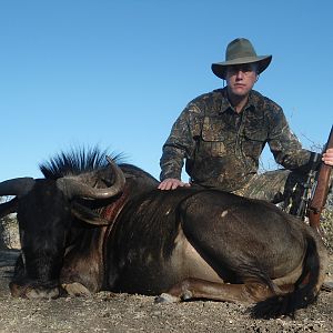 Blue Wildebeest hunted with Ozondjahe Hunting Safaris in Namibia