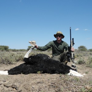 Ostrich hunted with Ozondjahe Hunting Safaris in Namibia