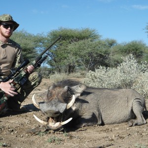 Warthog hunted with Ozondjahe Hunting Safaris in Namibia