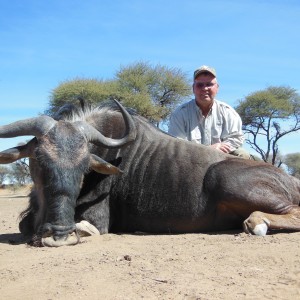 Blue Wildebeest hunted with Ozondjahe Hunting Safaris in Namibia