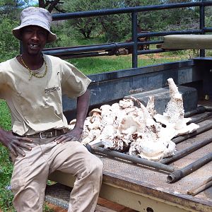 Omajowa termite hill mushrooms Namibia