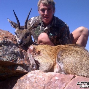 klipspringer ~ Soutpansberg , RSA