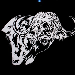 Buffalo Decal Stickers