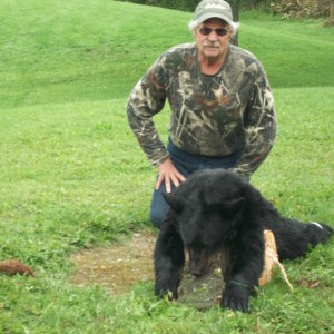 Maine black bear